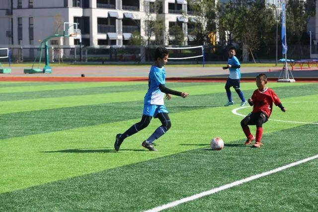 雄鹿终结3连败送黄蜂10连败 猛龙送火箭3连败